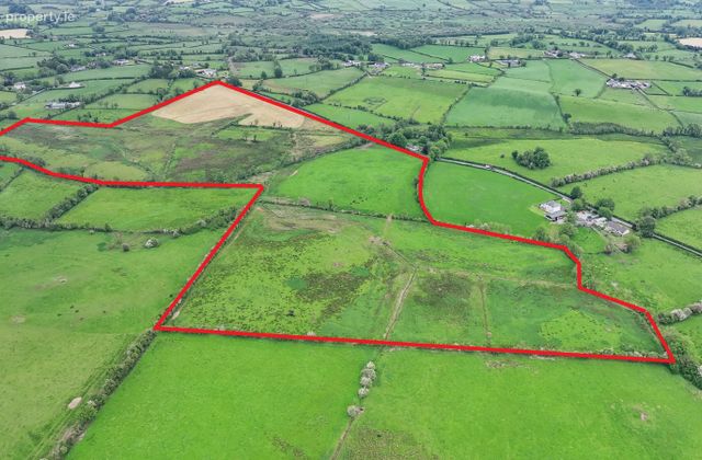 Carrickduff, Granard, Co. Longford - Click to view photos
