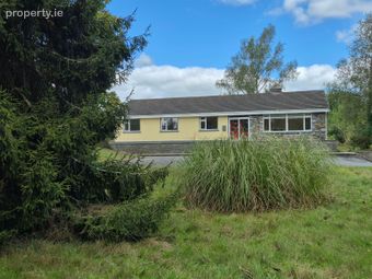 Wells, Bagenalstown, Co. Carlow, Bagenalstown, Co. Carlow - Image 5