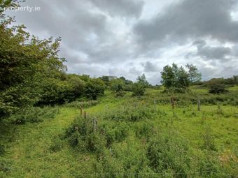 Mountsilk, Moylough, Co. Galway, Moylough, Co. Galway - Image 3