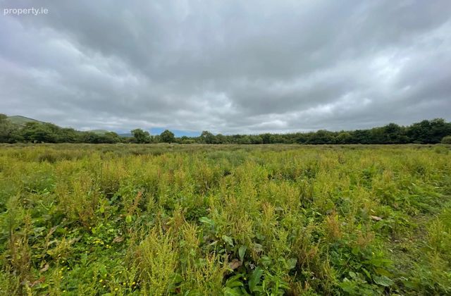 Leith West, Tralee, Co. Kerry - Click to view photos