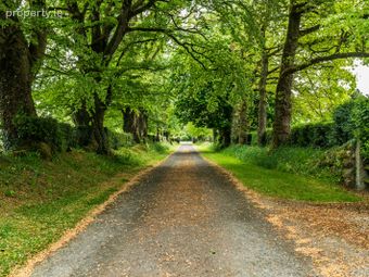Clonmoyle House, Clonmoyle West, Rathangan, Co. Kildare - Image 3