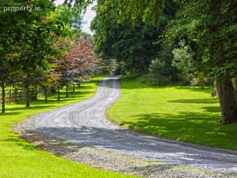 Bellevue House &amp; Estate, Bellevue, Coolbaun, Nenagh, Co Tipperary, Coolbawn, Co. Tipperary - Image 5
