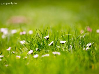 C.4 Acres .zone Residentials Development Land, Shillelagh, Co. Wicklow