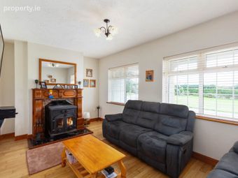 Rathnagrew Upper, Hacketstown, Co. Carlow, Hacketstown, Co. Carlow - Image 4
