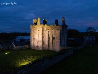 Sopwell Hall Estate (300-acres), Co. Tipperary, Pike, Co. Tipperary - Image 2