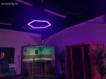 Metropoint Business Park, Kettles Lane, Kinsealy, Swords, Co. Dublin - Image 4