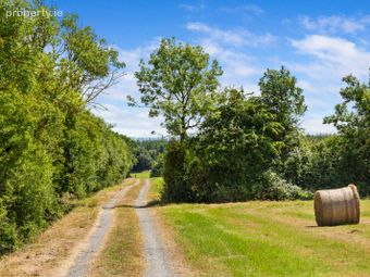 Lot 2 - Land At Newtown, Bonnettstown, Co. Kilkenny, Tullaroan, Co. Kilkenny - Image 4