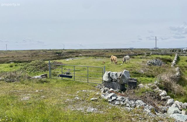 Cloghmore, Ballynahown, Inverin, Co. Galway - Click to view photos