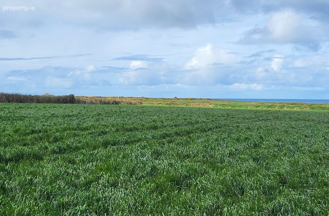 Drumnacurra, Causeway, Co. Kerry, Causeway, Co. Kerry - Click to view photos