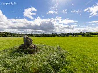 Lands At Killineer, Approx. 27.5 Ha (68 Acres), Drogheda, Co. Louth, Tullyallen, Co. Louth - Image 5
