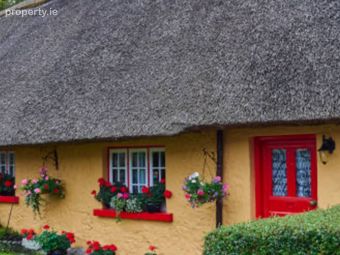 Adare Manor Farm, Adare Co. Limerick, Adare, Co. Limerick - Image 4