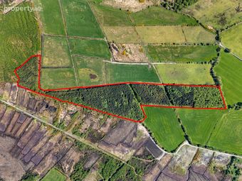 A1g54, Tonalig, Ballinasloe, Co. Galway - Image 2