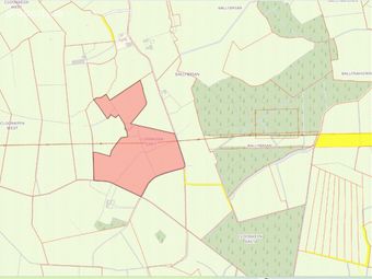 Clonkeen, Killoran, Ballinasloe, Co. Galway, Killoran, Co. Galway - Image 5