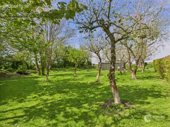 Lyrath, Kilkenny, Co. Kilkenny - Image 4