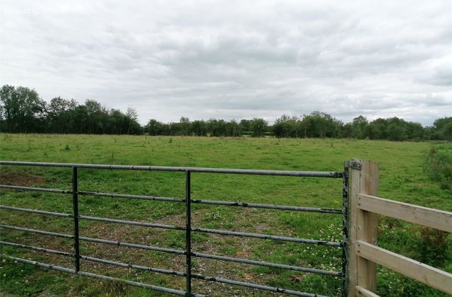 1 Acre Site, Kilkea, Ballyvass, Co. Kildare, Kilkea, Co. Kildare - Click to view photos