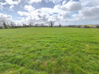 Greenane, Caherconlish, Co. Limerick - Image 3