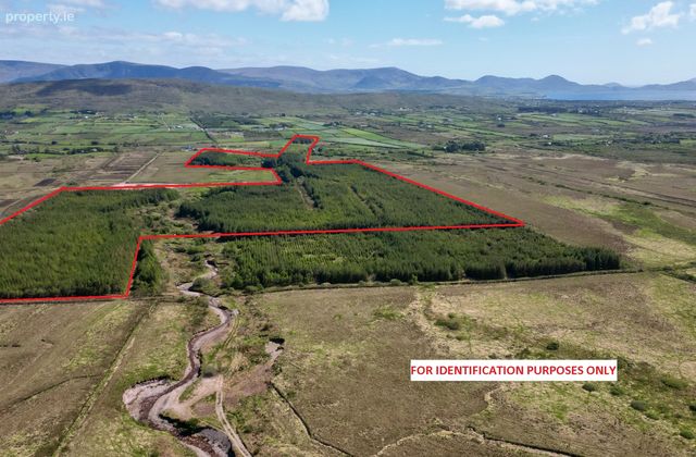 Maulnahone, Cahersiveen, Co. Kerry - Click to view photos