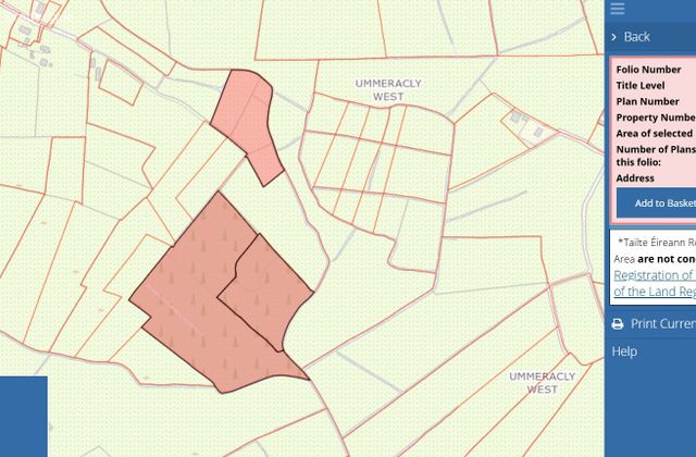 17.27 Acres Of Forestry In Milltown, Milltown, Tuam, Co. Galway, Tuam, Co. Galway - Click to view photos