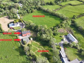 Hobson's Choice, Creagh, Baltimore, Co. Cork - Image 4
