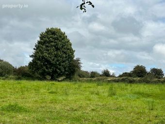Attishane, Cloonfad, Ballyhaunis, Co, Roscommon, Garranlahan, Co. Roscommon - Image 5