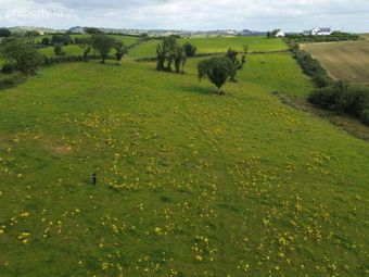 Cornalaragh, Doagh, Carrickmacross, Co. Monaghan, Carrickmacross, Co. Monaghan - Image 5