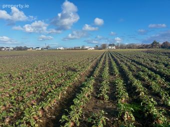 Cloon Glebe, Ardfert, Co. Kerry - Image 3