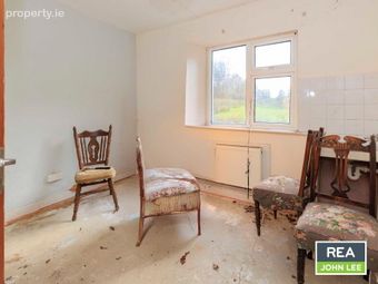 Rivers, Lisnagry, Co. Limerick, Lisnagry, Co. Limerick - Image 4
