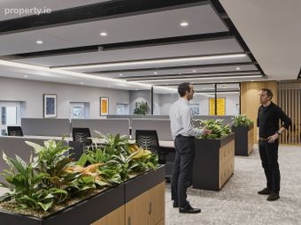Penthouse At 2 Hume Street, Dublin 2, Dublin 2 - Image 5