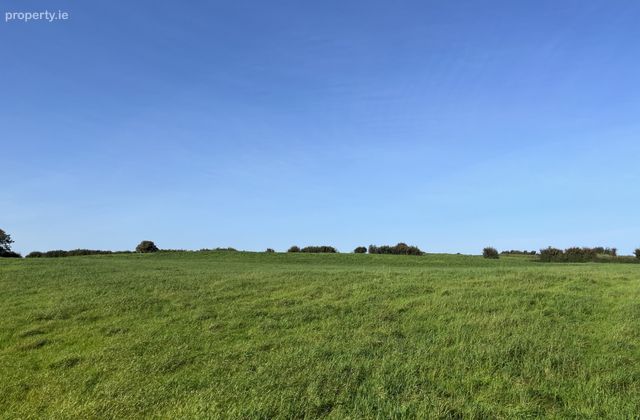 Graigueakilleen, Portumna, Co. Galway - Click to view photos