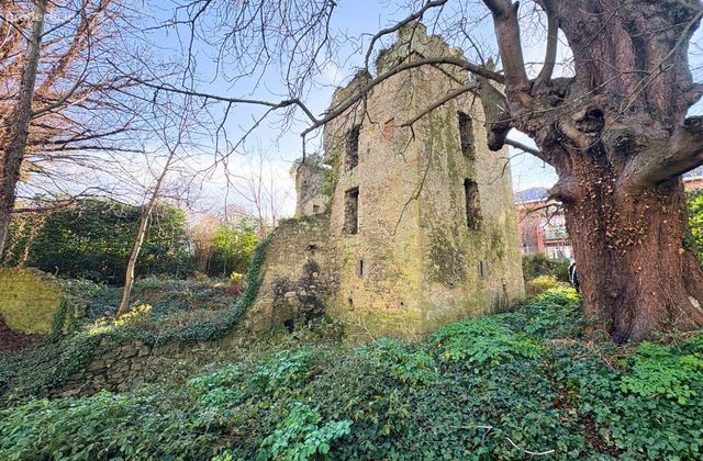Dundrum Castle, Dundrum, Dublin 14 - Click to view photos