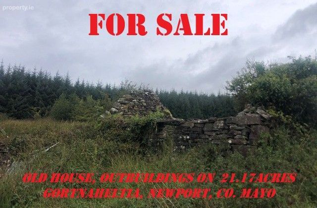 Gortnaheltia, Glenhest, Newport, Co. Mayo - Click to view photos