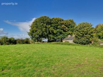 46 Acres Of Land In Knocknagur, Tuam, Co. Galway, Mullagh, Co. Galway - Image 2