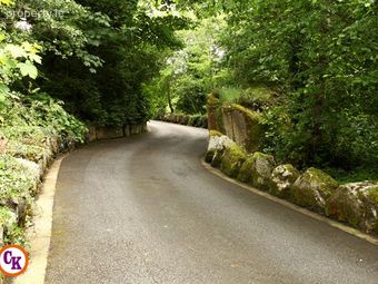 Currinara, Foxford, Foxford, Co. Mayo - Image 4