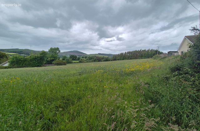 Coolnaleen, Camolin, Enniscorthy, Co. Wexford, Ballyduff, Co. Wexford - Click to view photos