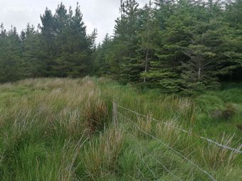 Forestry Lands At Stravally &amp; Lagunna, Glencolmcille, Co. Donegal - Image 5