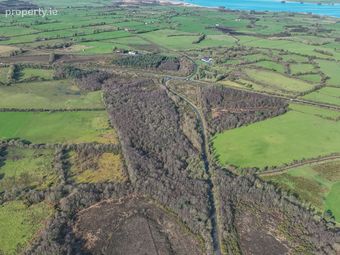 Dalystown, Mullingar, Co. Westmeath - Image 4