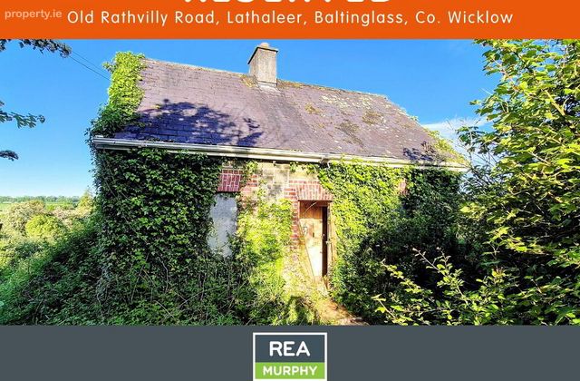 Old Rathvilly Road, Lathaleer, Baltinglass, Co. Wicklow, Baltinglass, Co. Wicklow - Click to view photos