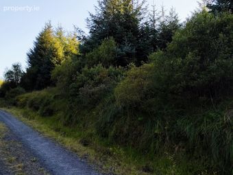 Glenmore Upper, Kilmihil, Co. Clare - Image 4
