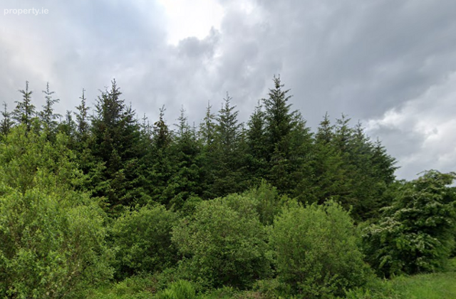 Glann East, Charlestown, Co. Mayo - Click to view photos