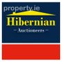 Hibernian Auctioneers Logo