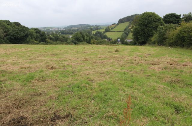 Knockavolis, Castleblayney, Co. Monaghan - Click to view photos