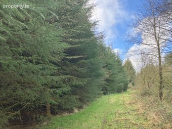 Knockalough Commons, Upperchurch, Thurles, Co. Tipperary - Image 3