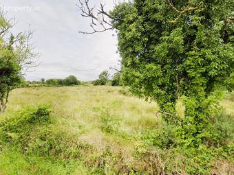 Lands At Derawley, Drumlish, Co. Longford - Image 4
