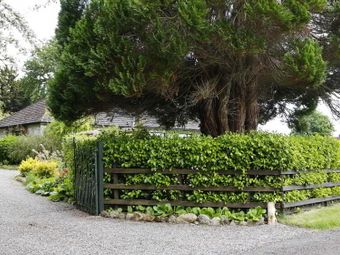 Skehana, Coolbawn, Nenagh, Co. Tipperary, Carney, Co. Tipperary - Image 3
