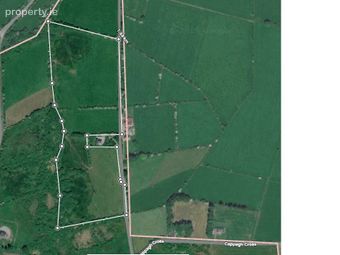 Approx 17 Acres, Moanlahan, Kildinan, Co. Cork, Kildinan, Co. Cork - Image 2
