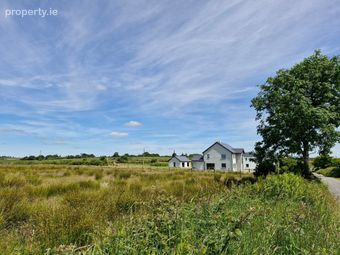 Brierfield Burke, Moylough, Ballinasloe, Co. Galway, Moylough, Co. Galway - Image 4