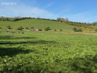 Land C. 57 Acres / 23 Ha. Milltown, Dunlavin, Co. Wicklow - Image 5