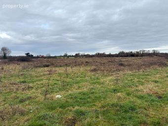 Ballyhomock, Cappagh, Adare, Co. Limerick - Image 3