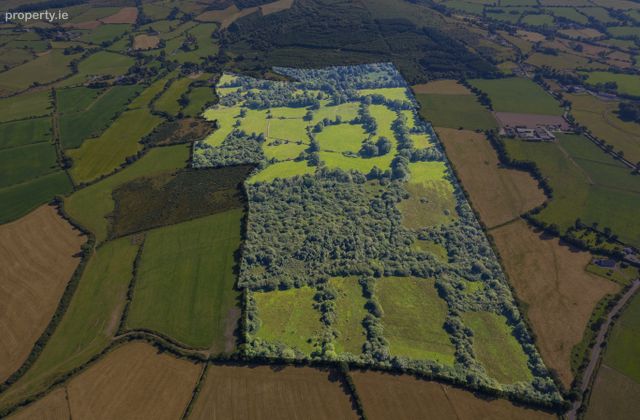 104 Acres At Gneeves, Lombardstown, Co. Cork, Lombardstown, Co. Cork - Click to view photos