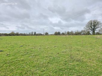 Alloon, Ballymacward, Ballinasloe, Co. Galway - Image 4